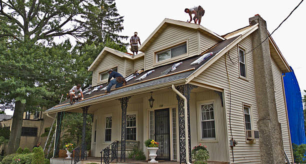 Quick and Trustworthy Emergency Roof Repair Services in Ocean Shores, WA