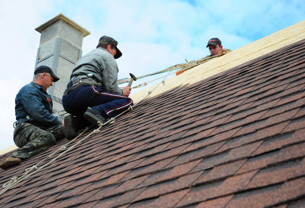 Best Roof Repair Services  in Ocean Shores, WA